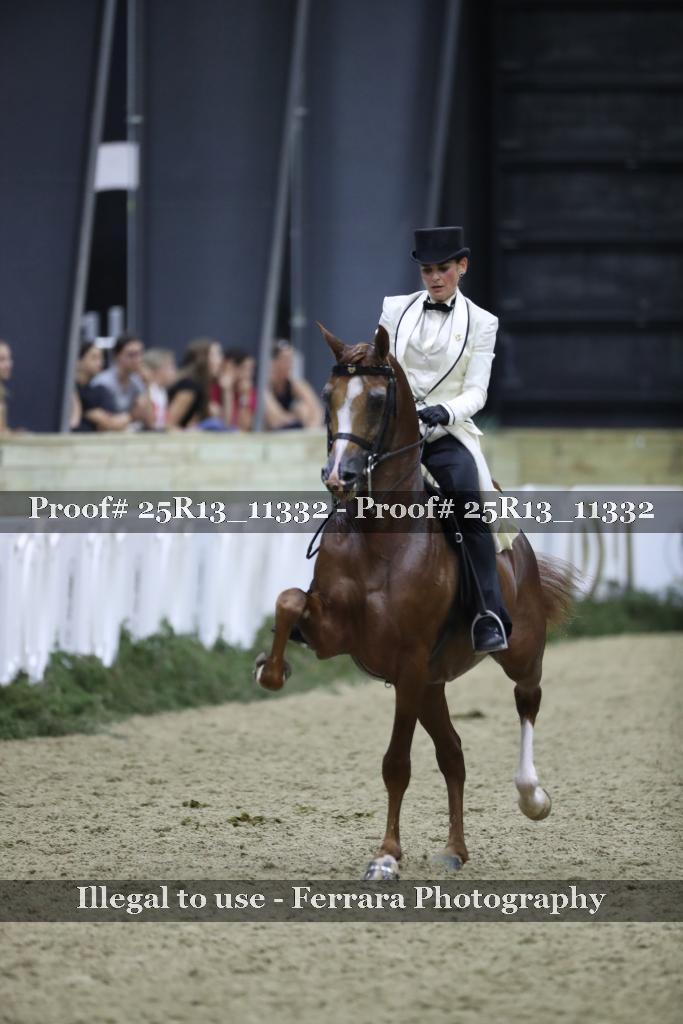 Proof 25R13_11332