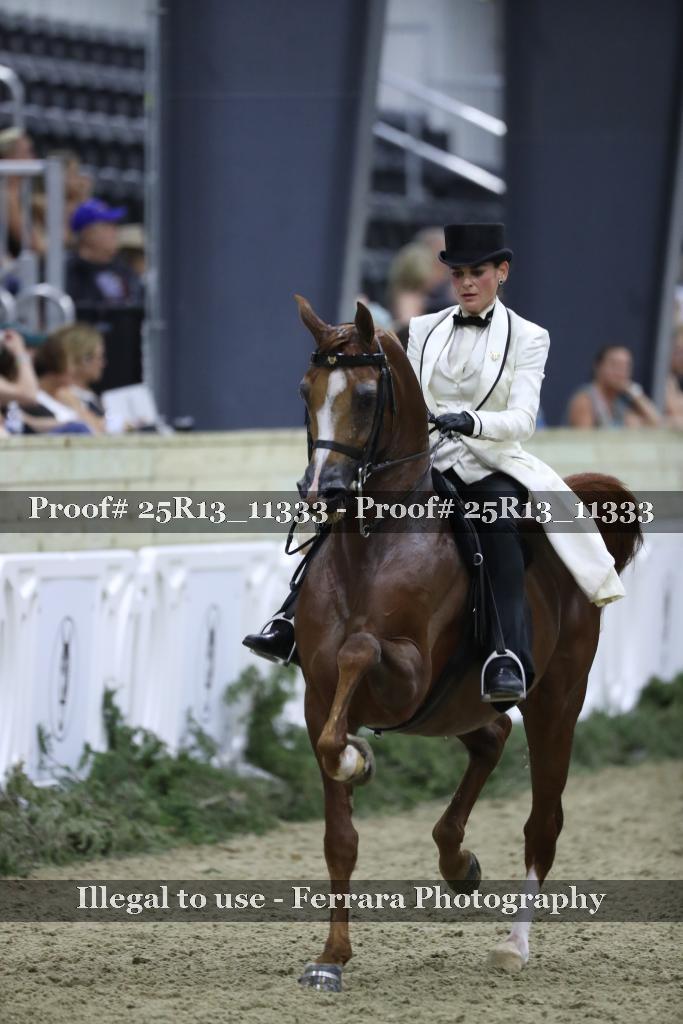 Proof 25R13_11333