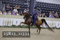 25R13_11334 proof