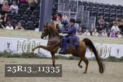 25R13_11335 proof