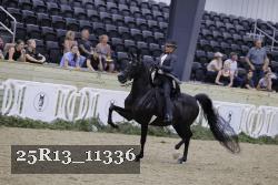 25R13_11336 proof