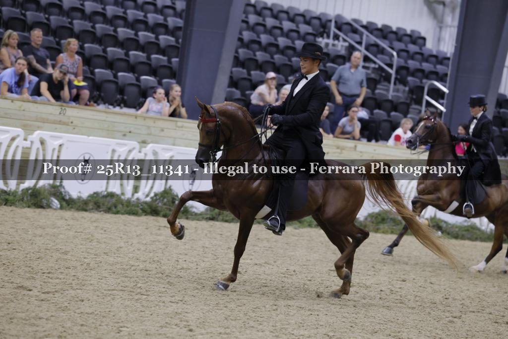 Proof 25R13_11341