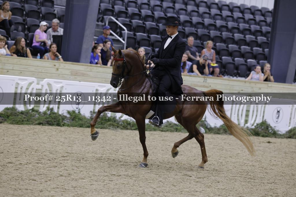 Proof 25R13_11342
