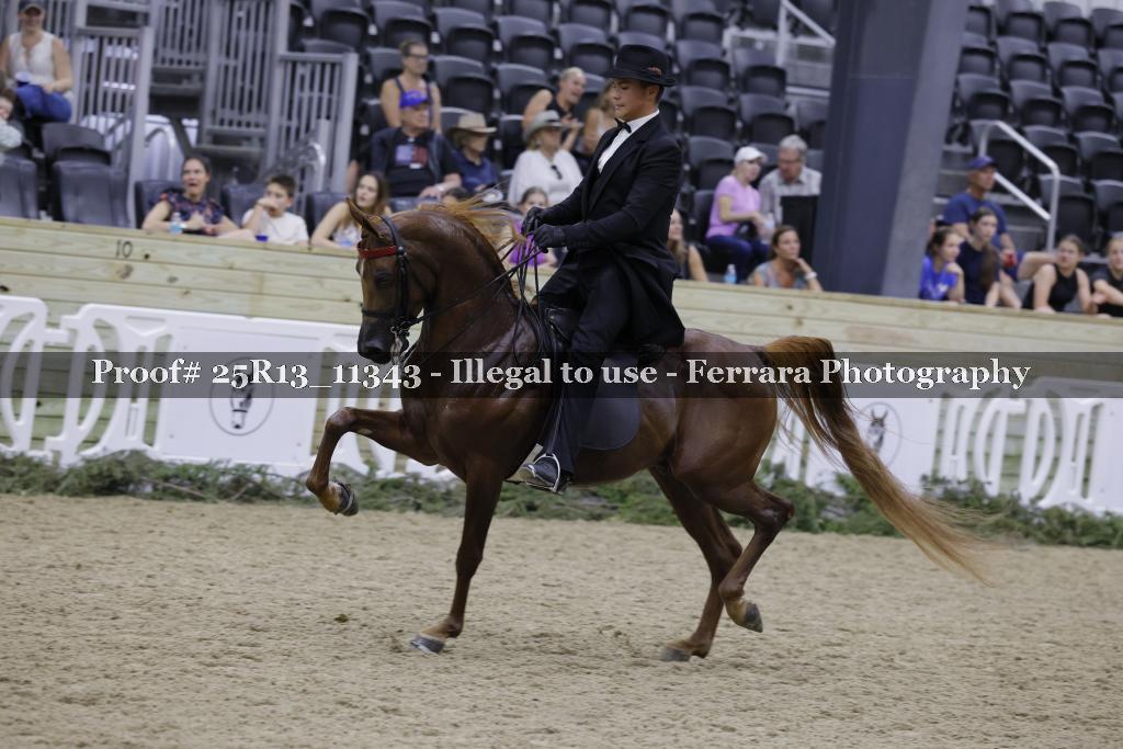 Proof 25R13_11343