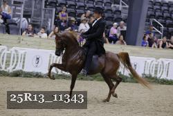 25R13_11343 proof
