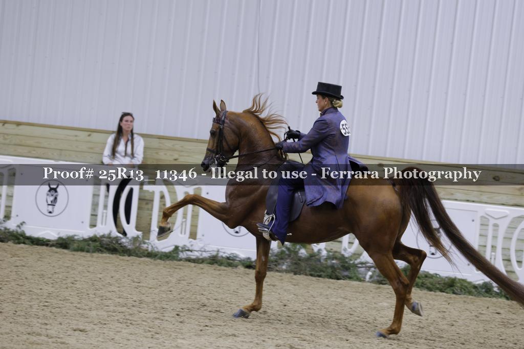 Proof 25R13_11346