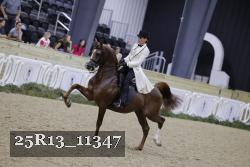 25R13_11347 proof