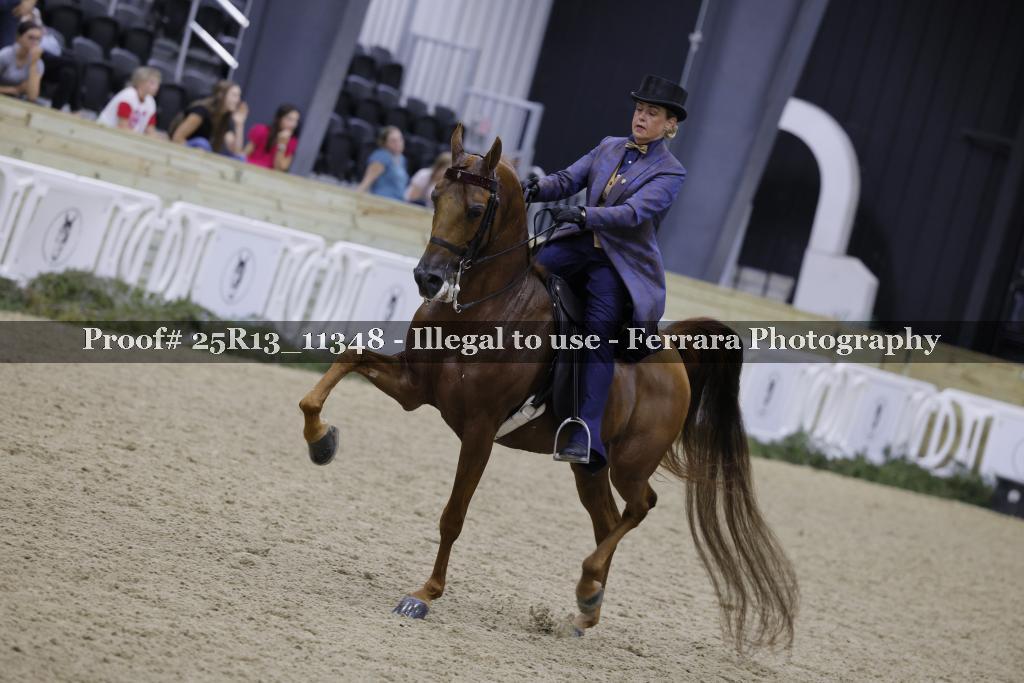 Proof 25R13_11348