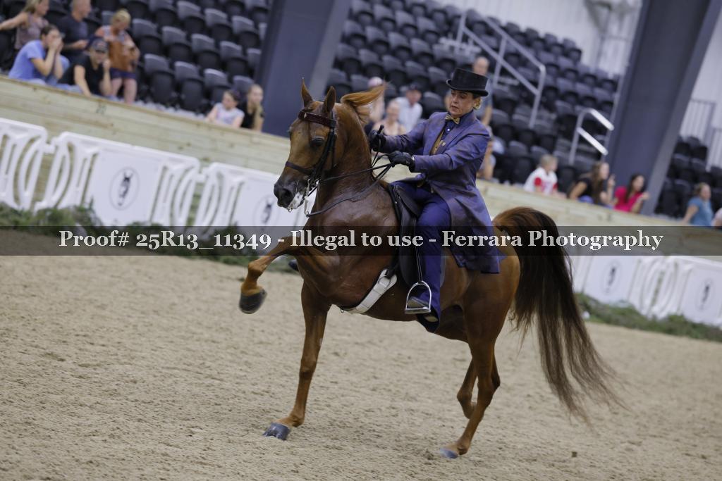 Proof 25R13_11349