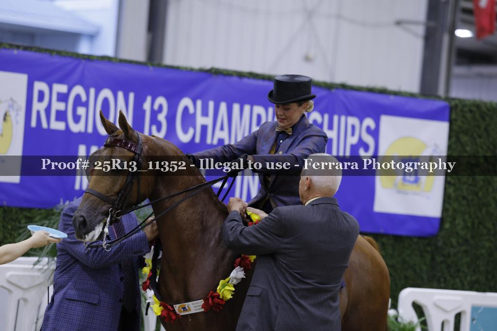 Proof 25R13_11352