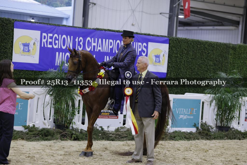 Proof 25R13_11353