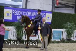 25R13_11353 proof