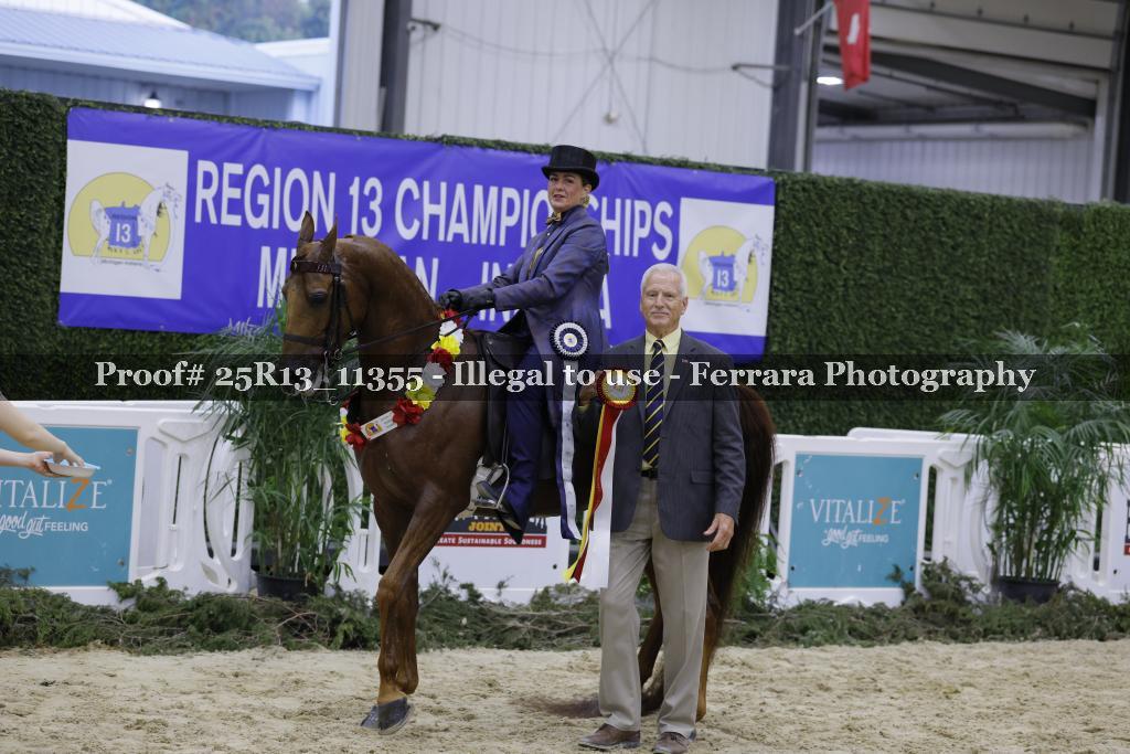 Proof 25R13_11355