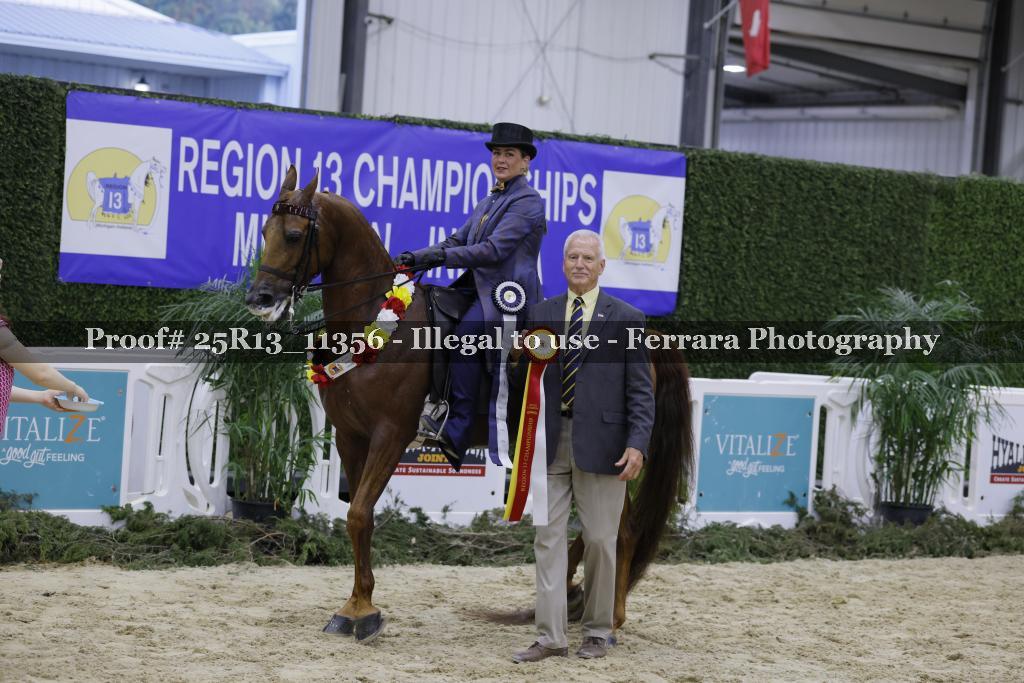 Proof 25R13_11356