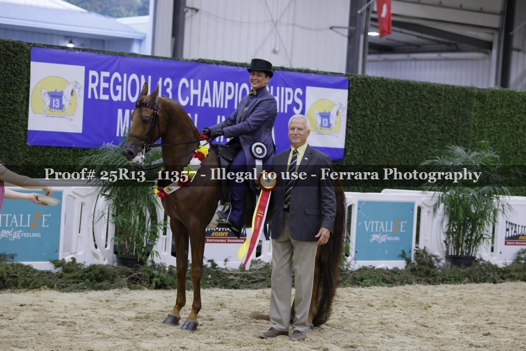 Proof 25R13_11357