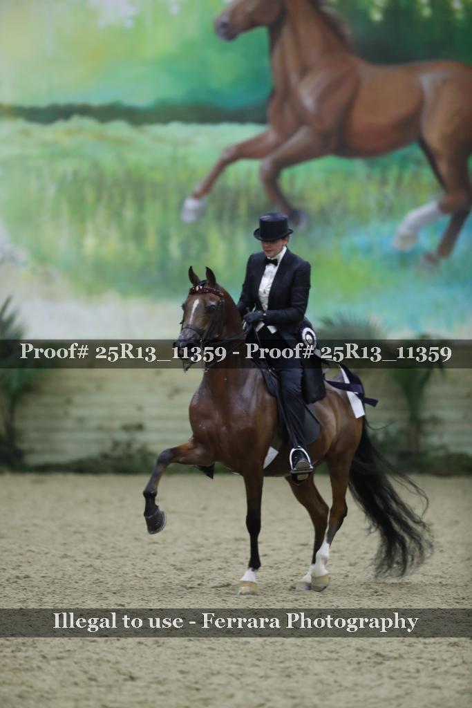 Proof 25R13_11359