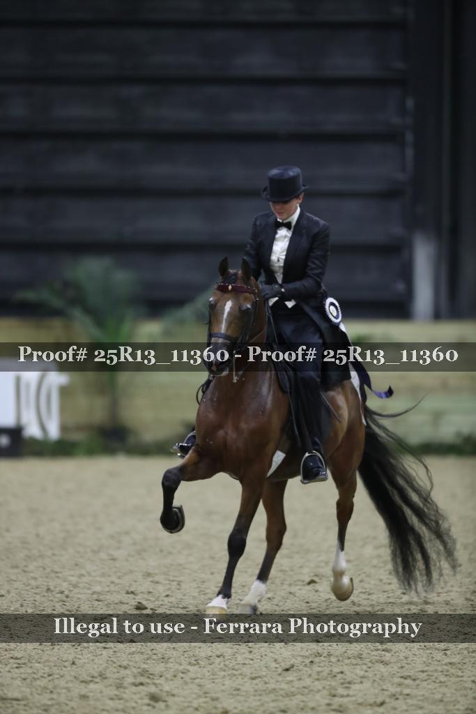 Proof 25R13_11360