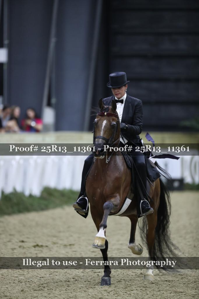 Proof 25R13_11361