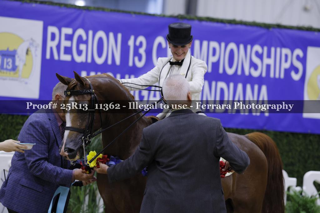 Proof 25R13_11362