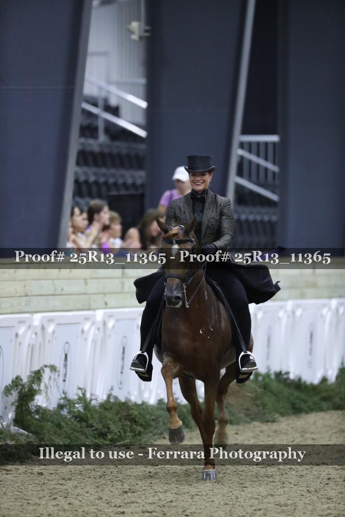 Proof 25R13_11365