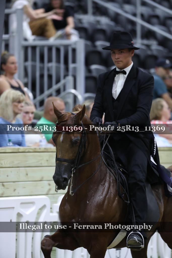 Proof 25R13_11369