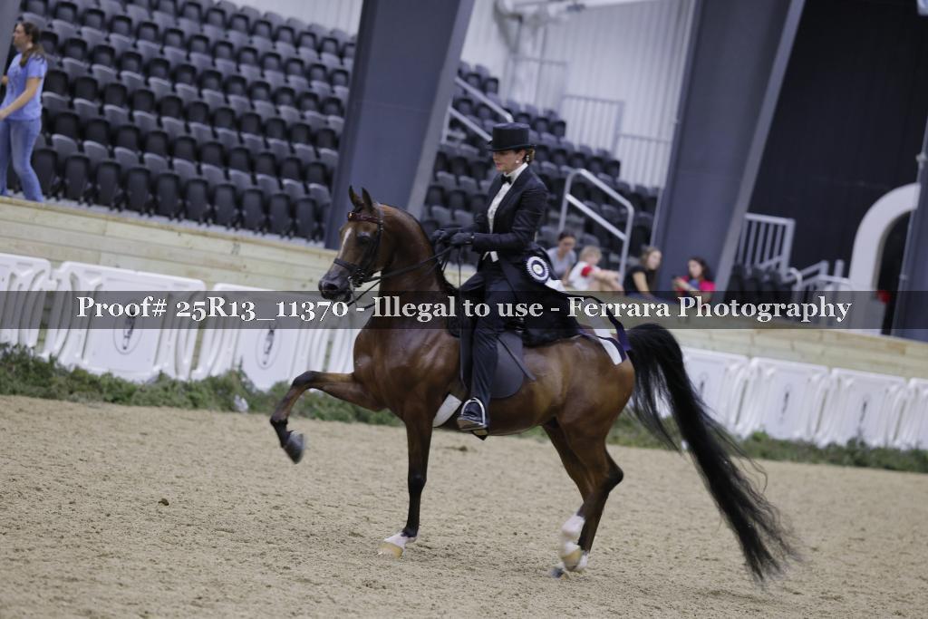 Proof 25R13_11370
