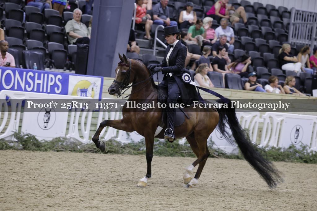 Proof 25R13_11371