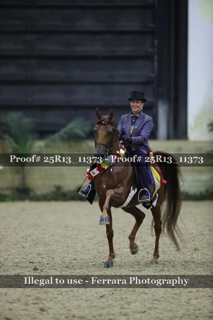 Proof 25R13_11373