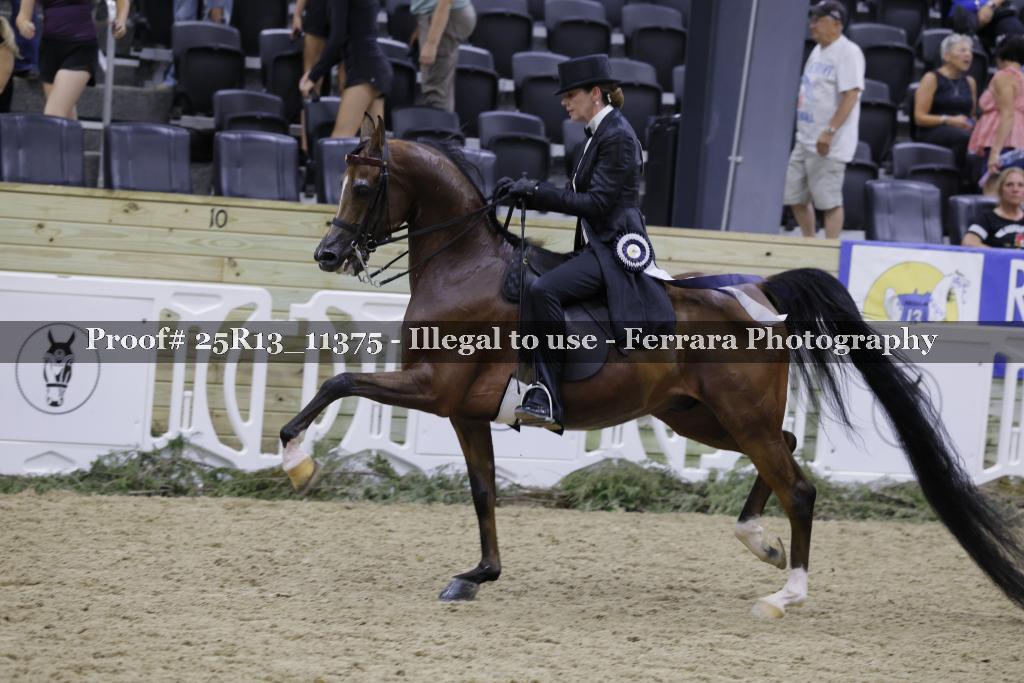 Proof 25R13_11375