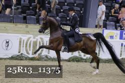25R13_11375 proof