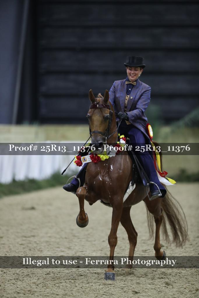 Proof 25R13_11376