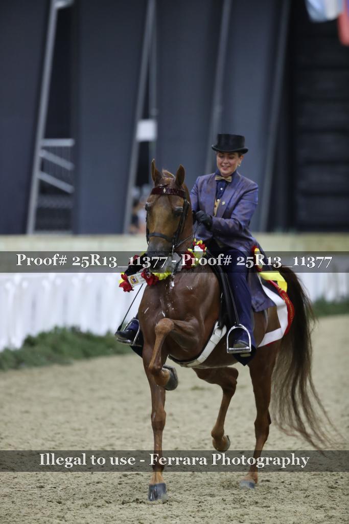 Proof 25R13_11377