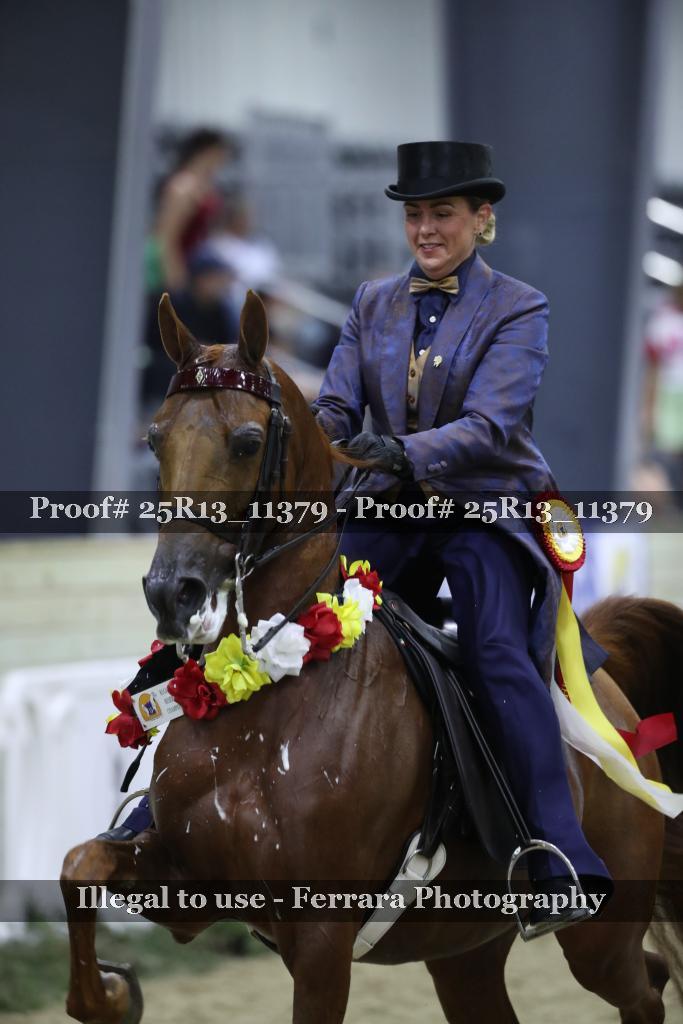 Proof 25R13_11379