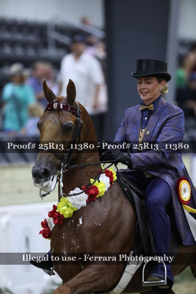 Proof 25R13_11380