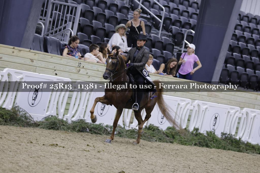 Proof 25R13_11381