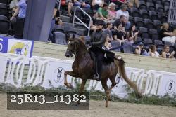 25R13_11382 proof