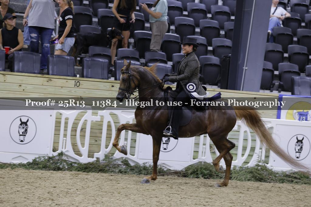 Proof 25R13_11384