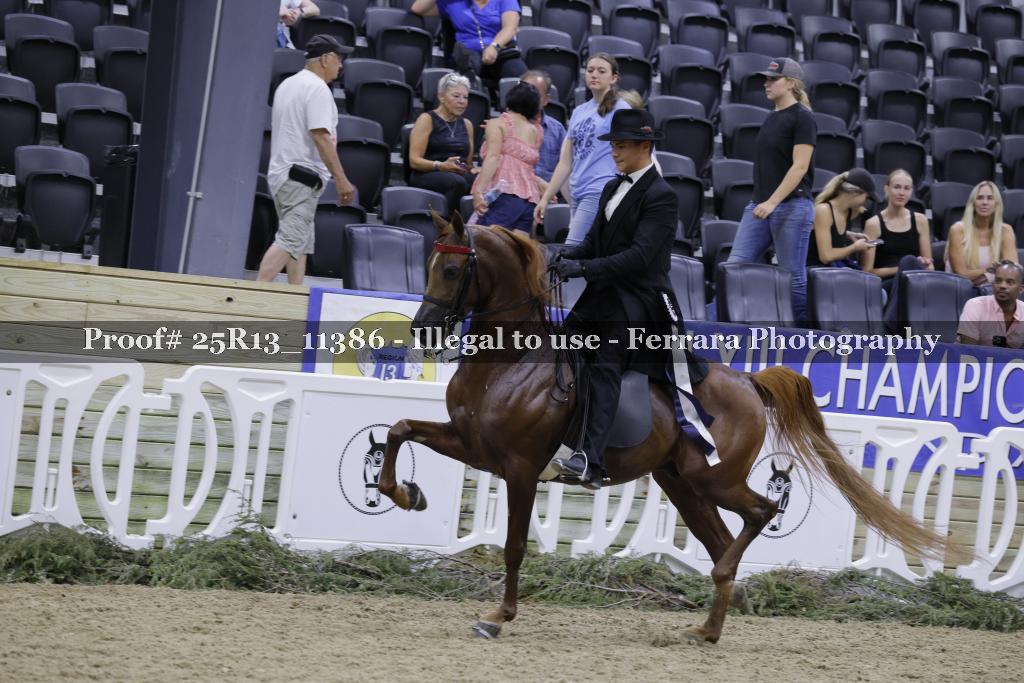 Proof 25R13_11386