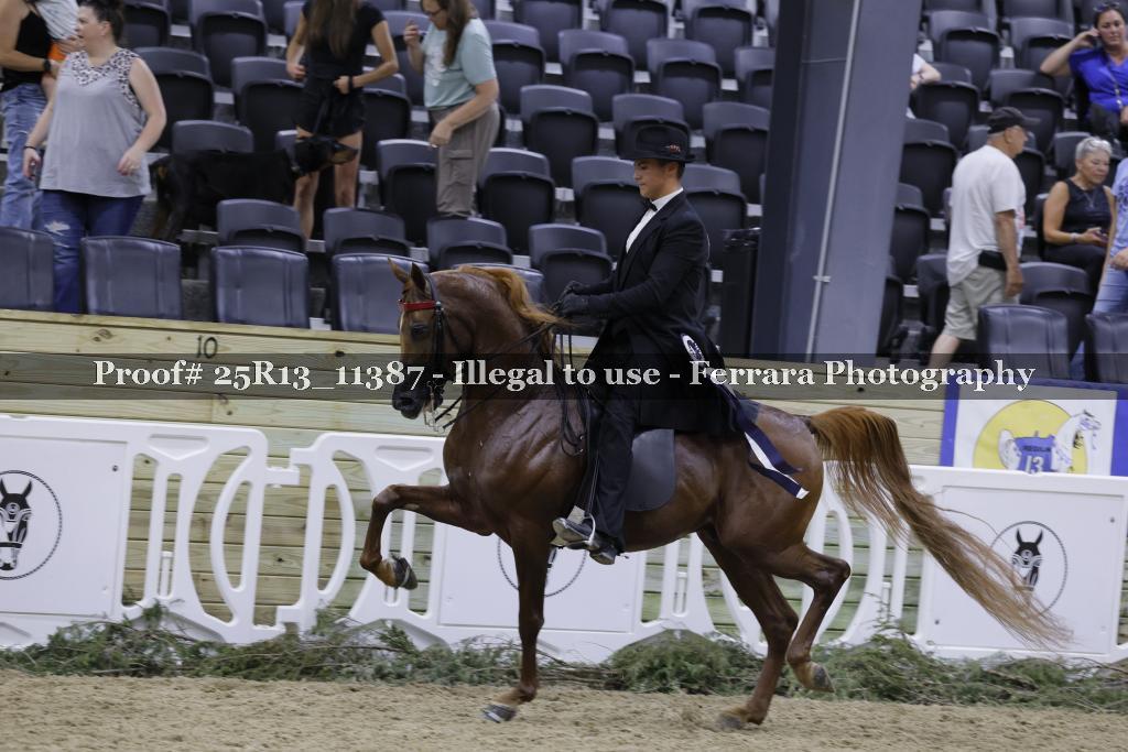 Proof 25R13_11387