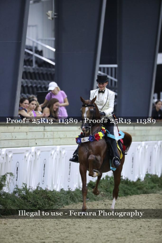 Proof 25R13_11389