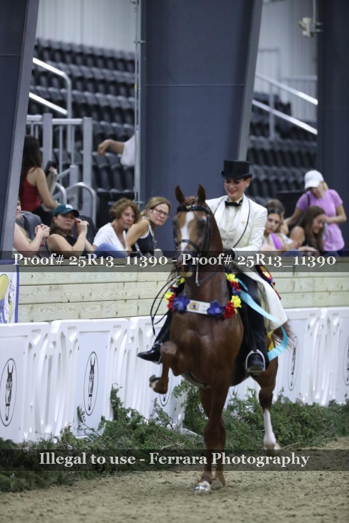 Proof 25R13_11390