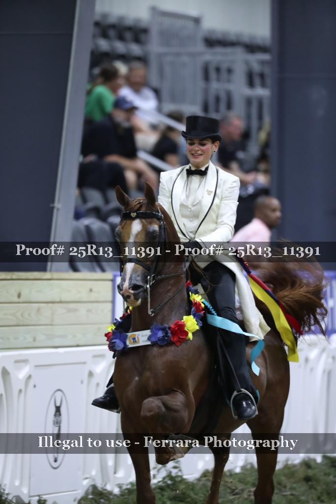 Proof 25R13_11391