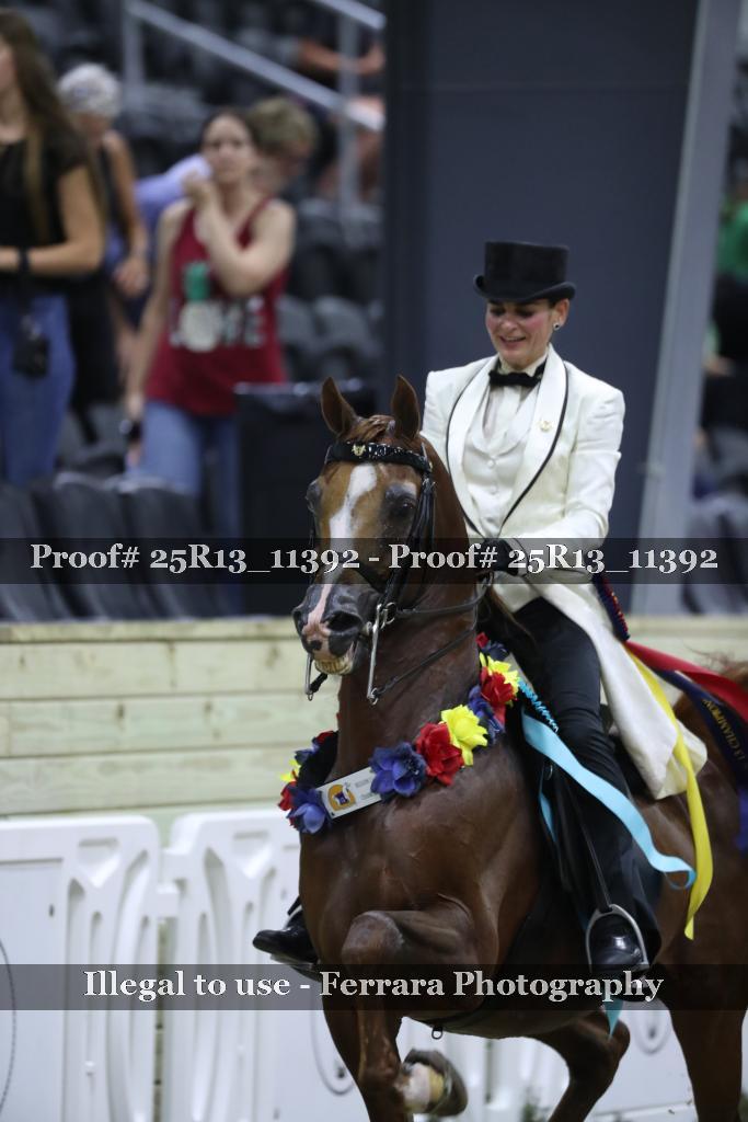 Proof 25R13_11392