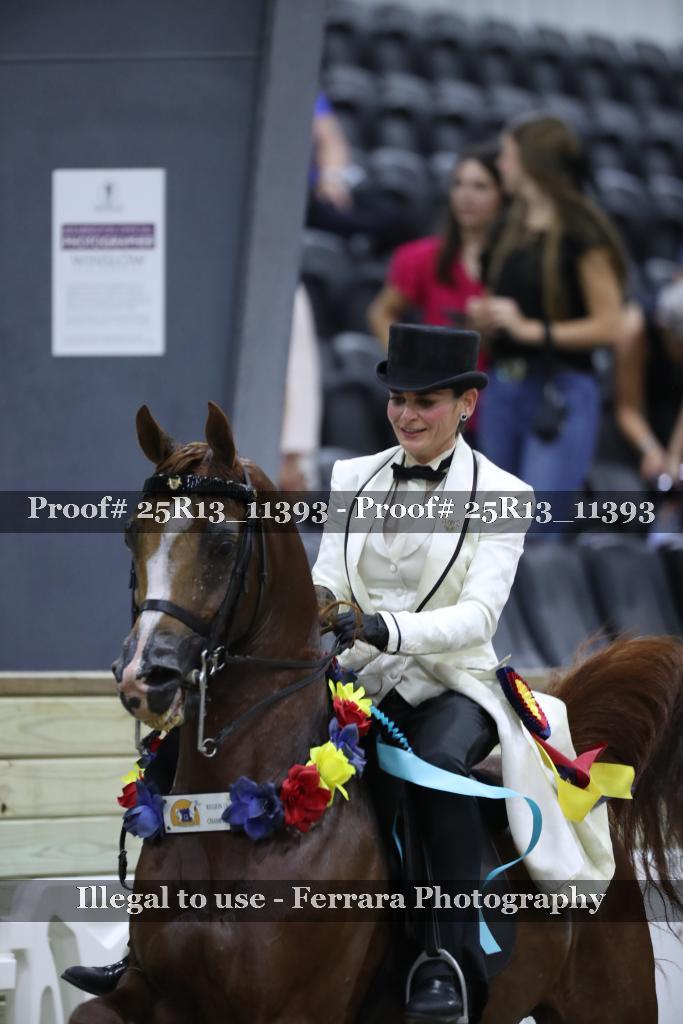 Proof 25R13_11393