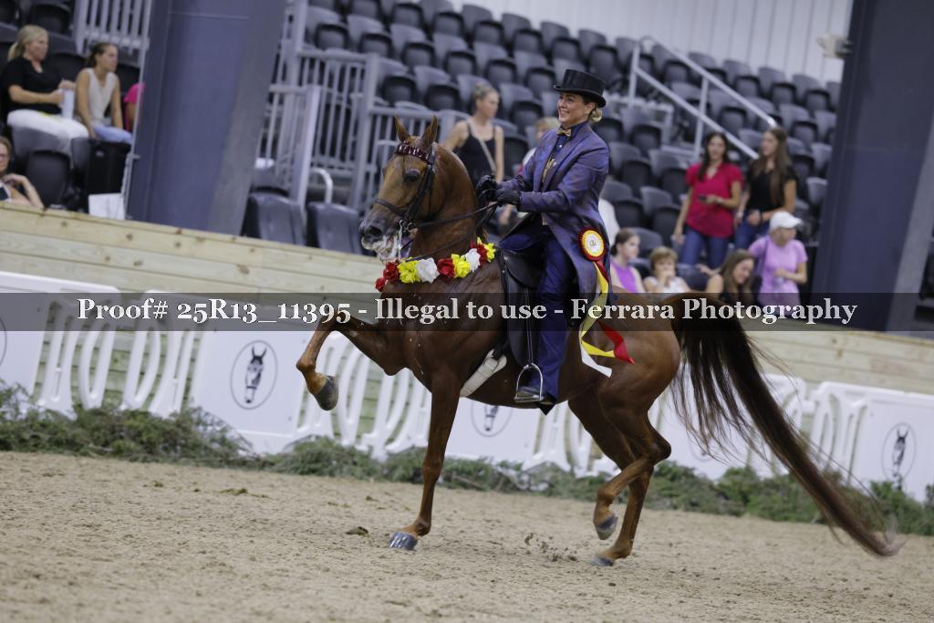 Proof 25R13_11395