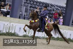25R13_11395 proof