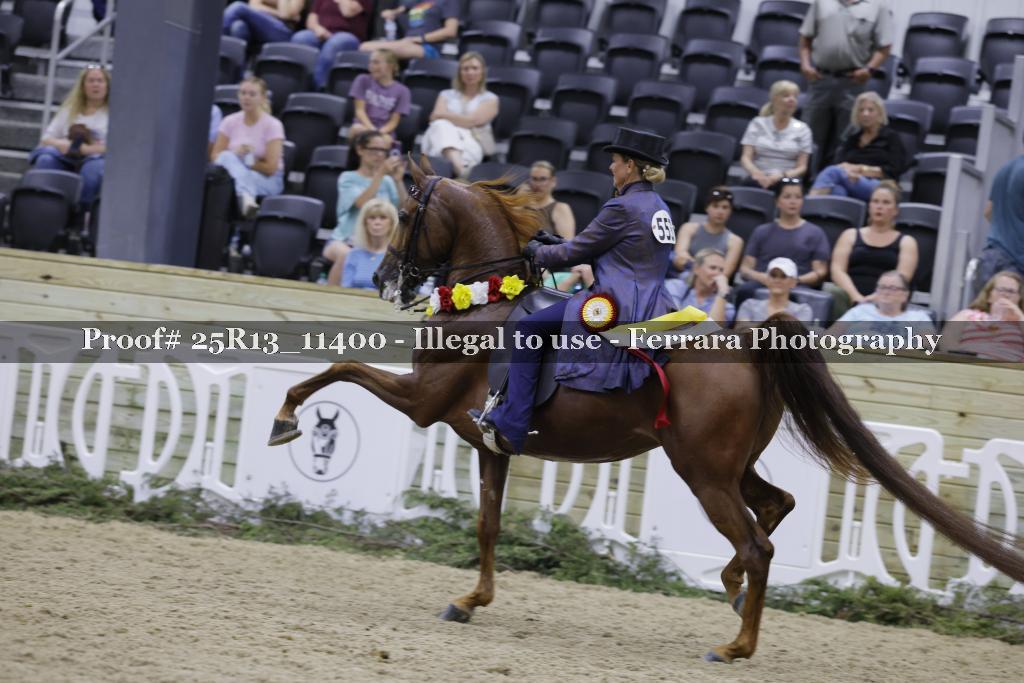 Proof 25R13_11400