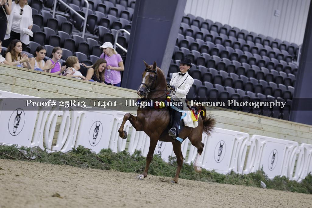 Proof 25R13_11401