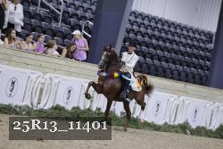 25R13_11401 proof