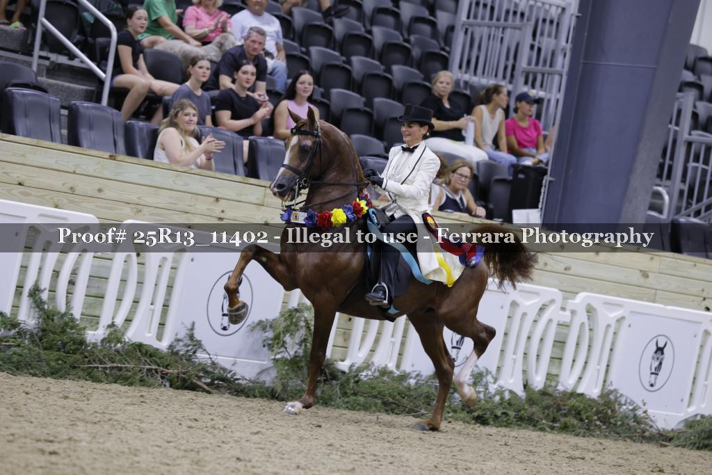 Proof 25R13_11402